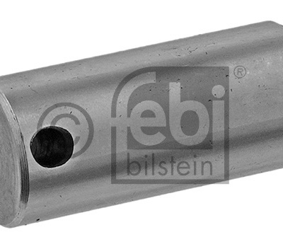 PEN VOOR REMSCHOEN